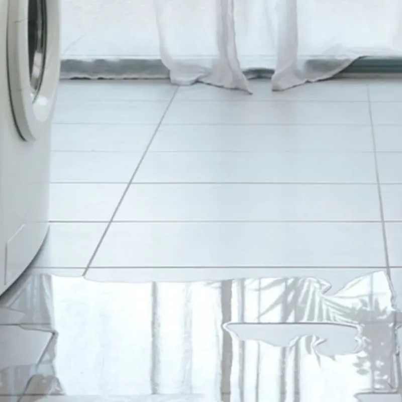 Appliance Leak Cleanup in Greenland, NH