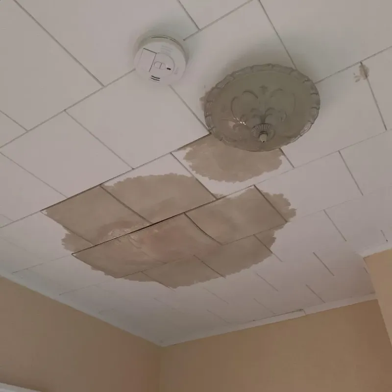 Ceiling Water Damage Repair in Greenland, NH