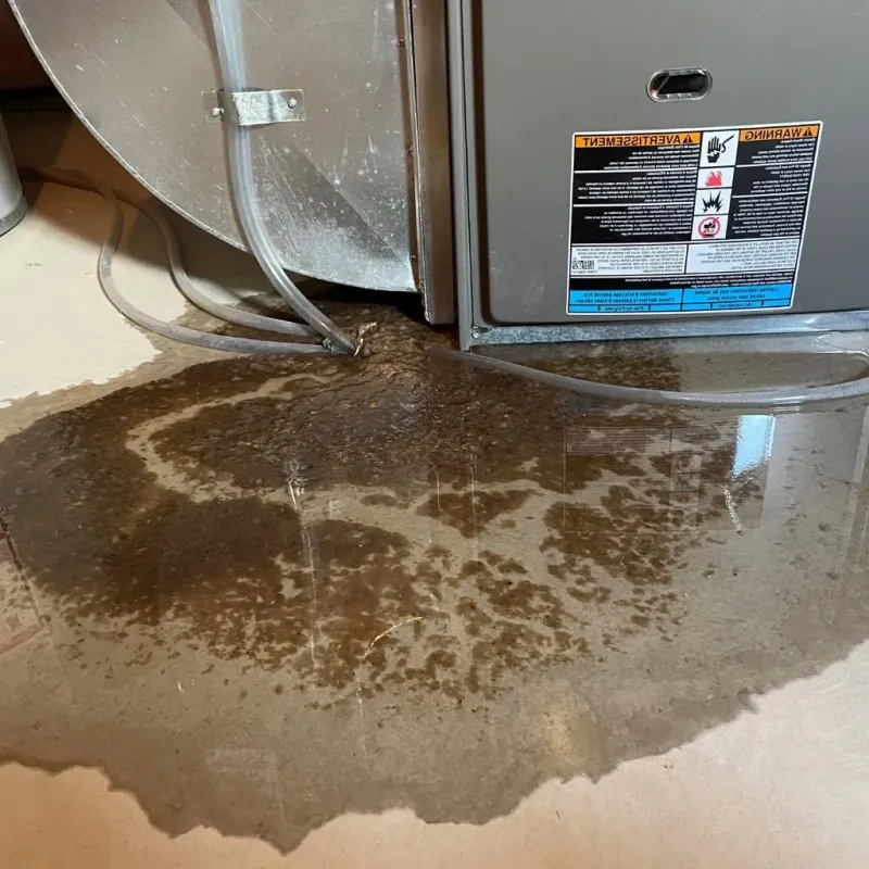 Pipe Burst and Leak Restoration in Greenland, NH
